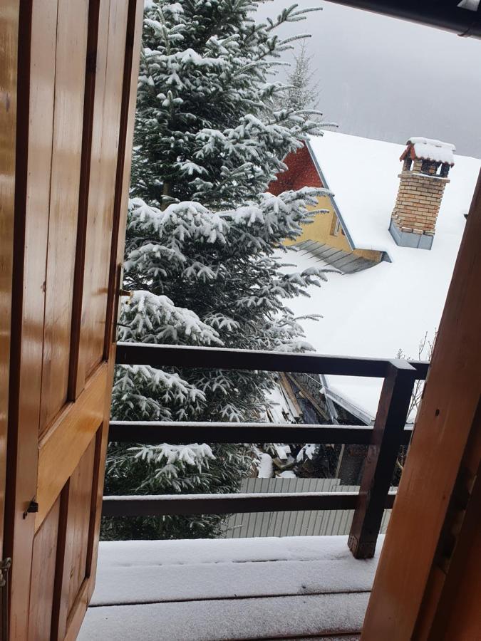 Vila Panselutelor 6 Sinaia Kültér fotó