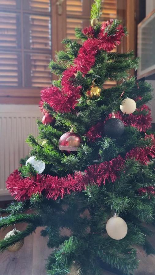 Vila Panselutelor 6 Sinaia Kültér fotó